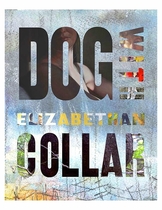Dog With Elizabethan Collar by Ken Taylor